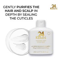 24 Kerats PH Perfector Zeolite Shampoo 250ml