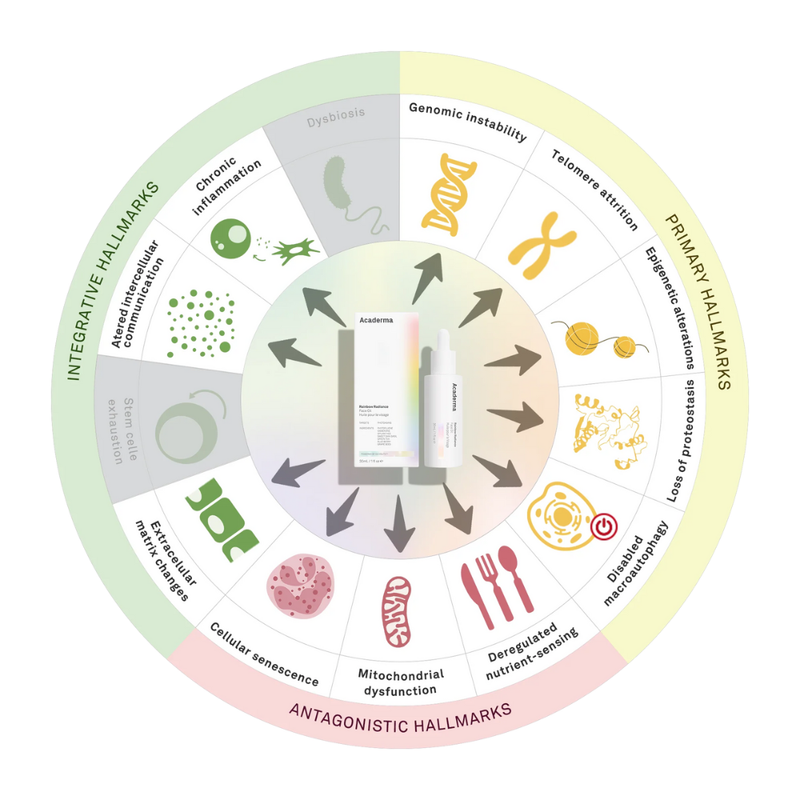 Acaderma Rainbow Radiance Face Oil 30ml
