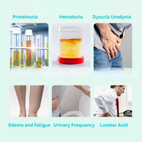 Cosmo Pharm Renox Renal Detox 30 Capsule Vegetale