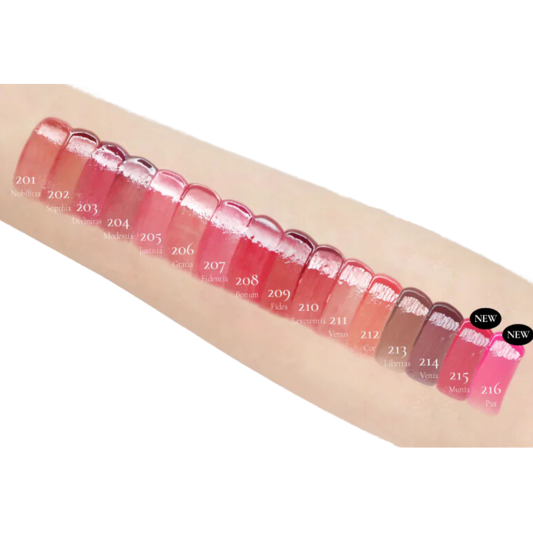 Dinto Blur-Glowy Lip Tint 3.5g