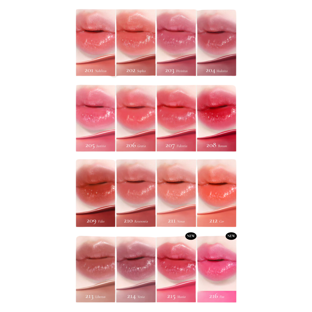 Dinto Blur-Glowy Lip Tint 3.5g