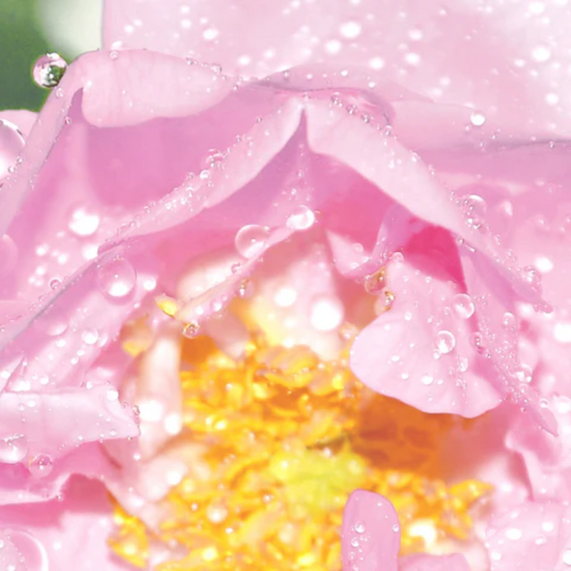 Ecomaat Rose Refreshing Floral Water 100 ml