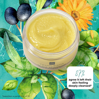 TempleSpa In The Beginning Deep Pore & Exfoliating Cleanser 75g