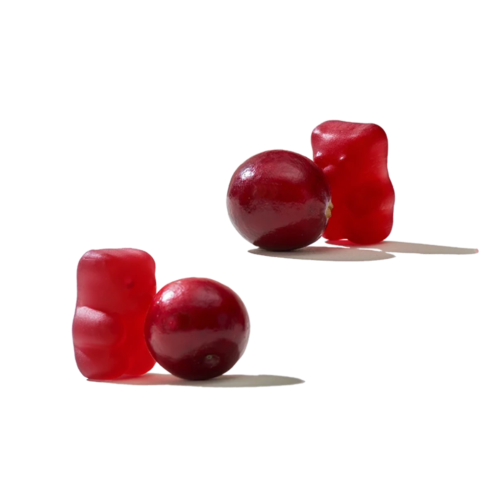 Unichi Teddi Lab Cranberry Extract Gummy 60 Gummies