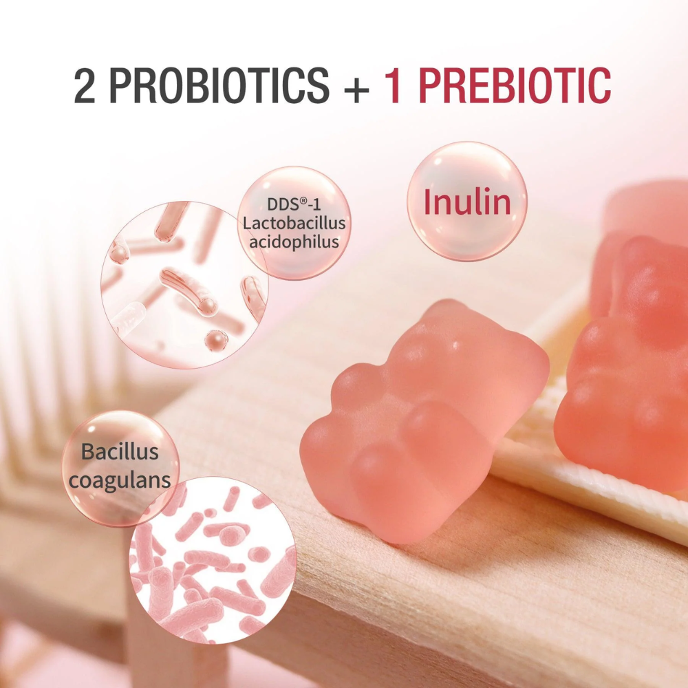 Unichi Teddi Lab Pre & Probiotics Gummy 60 Gummies